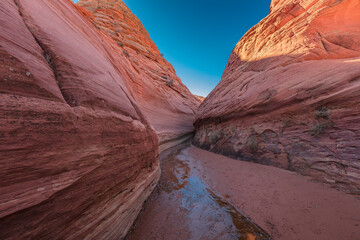 Hike To The Wave