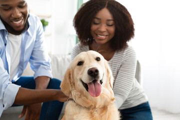 Happy black couple playing with their pet at home
