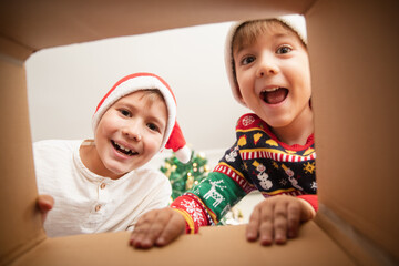 Happy surprised Caucasian little boys in Santa's hat looking inside a cardboard box, at home near...
