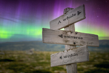 a whole universe within text quote on wooden signpost outdoors in nature with northern lights above.