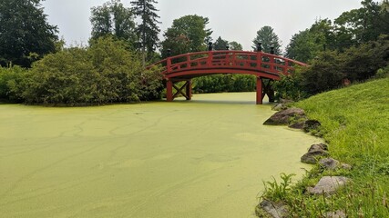 Red bridge over green pond