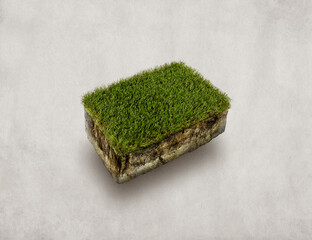 3D Isometric green grass, soil section isolated in light background - 470520240