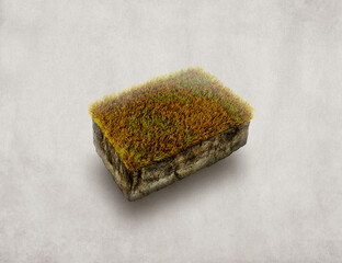 3D Isometric brown grass, soil section isolated in light background - 470520241
