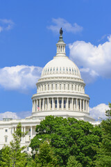 Fototapeta na wymiar Capitol Building and the clouds - Washington DC United States