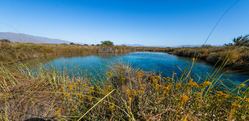 Amazing landscape with a lake and river in the middle of the desert with shades in the water of blue and turquoise green, mountains are distinguished, and the wide desert. Poza Azul, Cuatrociénegas.