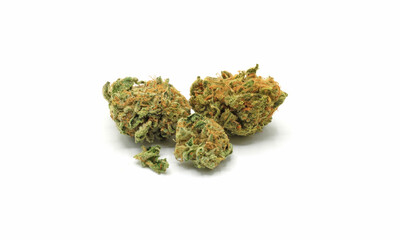 Cocoons of isolated marijuana on a white background