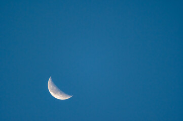 Obraz na płótnie Canvas Crescent Moon Background