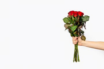 A beautiful bouquet of red roses in a woman hand is isolated on white background. Trendy poster for Valentine's Day, International Women's Day or mothers day. Copy space.