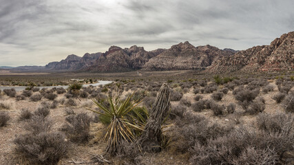 Red Rock Canyon