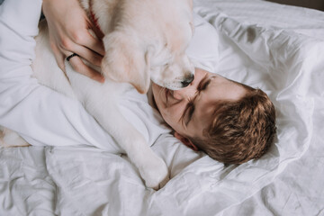 teen boy is lying in bed on white bedding with dog. top view. pet wakes up the owner in the...