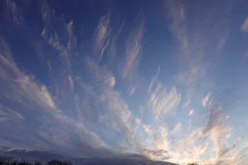 Cirruswolken am Abendhimmel im November