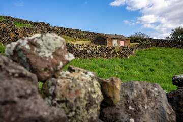 Typowy dla wyspy Terceira kamienny budynek, oraz kamienny murek oddzielający łąkę lub pole...