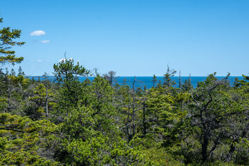 Obraz premium Trip to Acadia National Park 2021