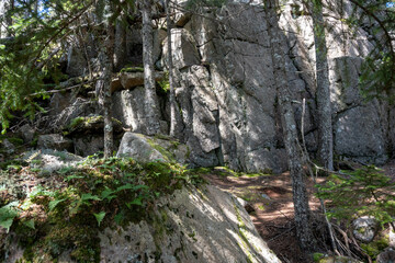 Fototapeta na wymiar Trip to Acadia National Park 2021