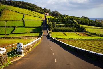 Krajobraz typowy dla Terceira Azory, droga do latarni morskiej Ponta das Contendas