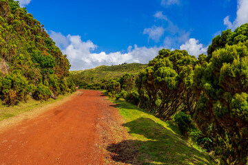 Fototapeta na wymiar Droga na szlak turystyczny po polach siarkowych, Furnas De Enxofre, Terceira, Azores, Portugalia