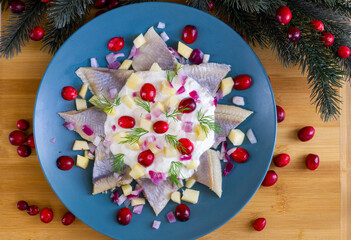 Obraz na płótnie Canvas Herring salad with onion, apple, cranberry, and cream sauce. Polish Christmas Eve dish