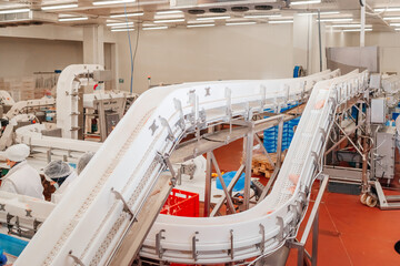 Conveyor Belt Food.The meat factory. Chicken fillet production line . Factory for the production of food from meat.Modern poultry processing plant.
