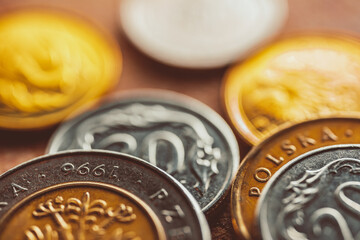 Macro View of Polish coins. 