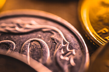 Macro View of Polish coins. 