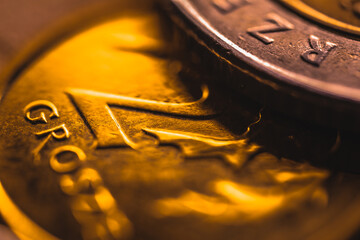 Macro View of Polish coins. 