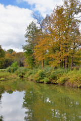 A rural expanse along Shadow Brook in early autumn. The scene is located within New York's Glimmerglass State Park.