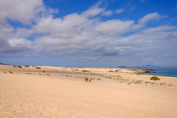 View on the dunes of Corralejo and unknown persons walking there.