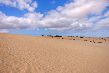 Fototapeta na wymiar View on the sand dunes of Corralejo on the Canary Island Fuerteventura.