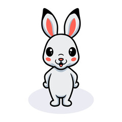 Fototapeta na wymiar Cute little rabbit cartoon standing