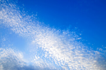 Fototapeta na wymiar The blue sky and white clouds