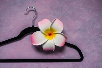 fashion and shopping, velvet clothes hanger on pink background with tropical frangipani