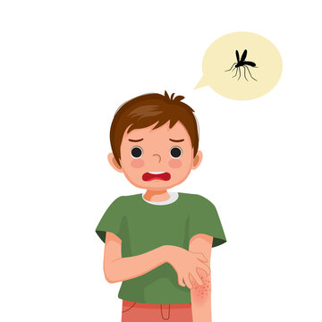 Little boy scratching his hand that has skin rash and swelling redness spot allergy from mosquitoes and insects bites.