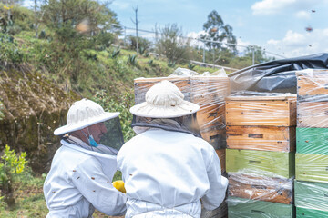 Two beekeepers arrange honeycombs in a vehicle