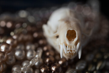 An animal skull sitting on a pile of pearls