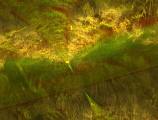 Imaginatory fractal abstract background Image