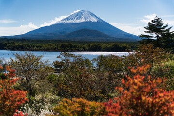 mountain in autumn