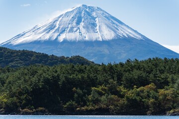 mountain and blossoms