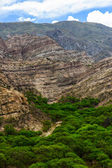 A green valley nestled amidst the barren Andean foothills around the village of Villa Vil on the road to the Cuesta de Randolfo and the Antofagasta de la Sierra altiplano, Catamarca, Argentina