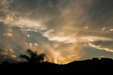 Beautiful evening with silhouette of orange trees and clouds