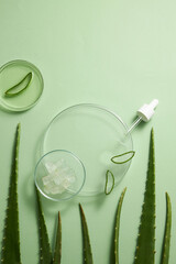 Aloe vera extract research in laboratory with a petri dish dropper in light green background for aloe vera research advertising , photography science content , top view - obrazy, fototapety, plakaty