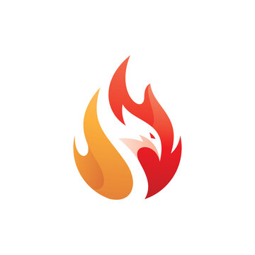 Modern colorful fireball and bird head vector. Phoenix fire flame logo icon