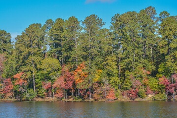 Beautiful leaf colors reflecting on Hamburg Lake in Mitchell, Washington County, Georgia