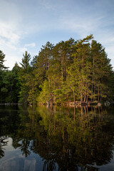 Fototapeta na wymiar Warm golden sun setting on trees over a lake during summer in Ontario, Canada