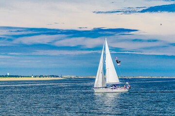 Obraz premium Provincetown, Cape Cod, Massachusetts, US - August 15, 2017 yacht and his crew looking for a whale