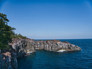 Obraz premium 伊豆 城ヶ崎海岸の風景
