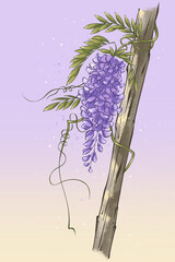 Colorful illustration of wisteria flowers, branches and leaves, digital art.