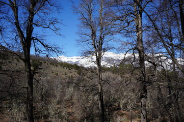 Fototapeta premium Bariloche