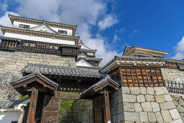 Fototapeta premium 松山城 連立天守群