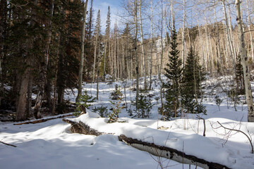 Silver Lake trail with snow and ice