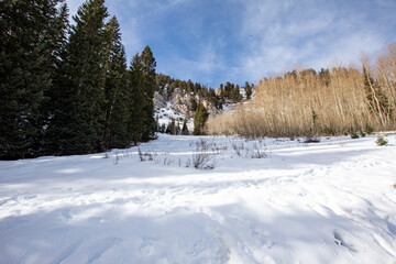 Silver Lake trail with snow and ice